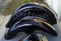 black-harlequin-silverpearl-flames-17