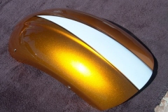 goldpearl-bobber-10